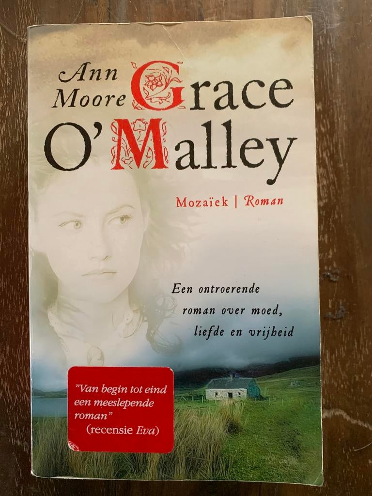 Ann Moore - Grace O'Malley, Boeken, Ophalen of Verzenden, Zo goed als nieuw, Ann Moore