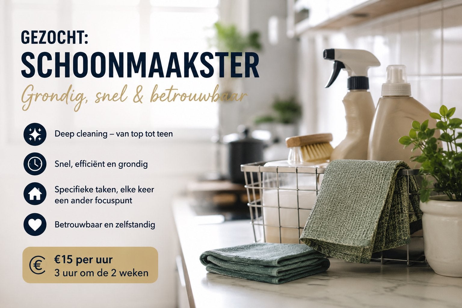 Schoonmaakster gezocht, Huis en Inrichting, Schoonmaakartikelen, Ophalen, Overige typen