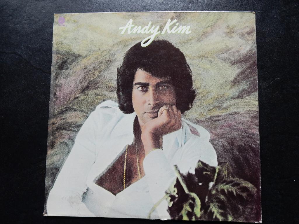 Andy Kim - Andy Kim (LP), Ophalen of Verzenden, Gebruikt, 12 inch
