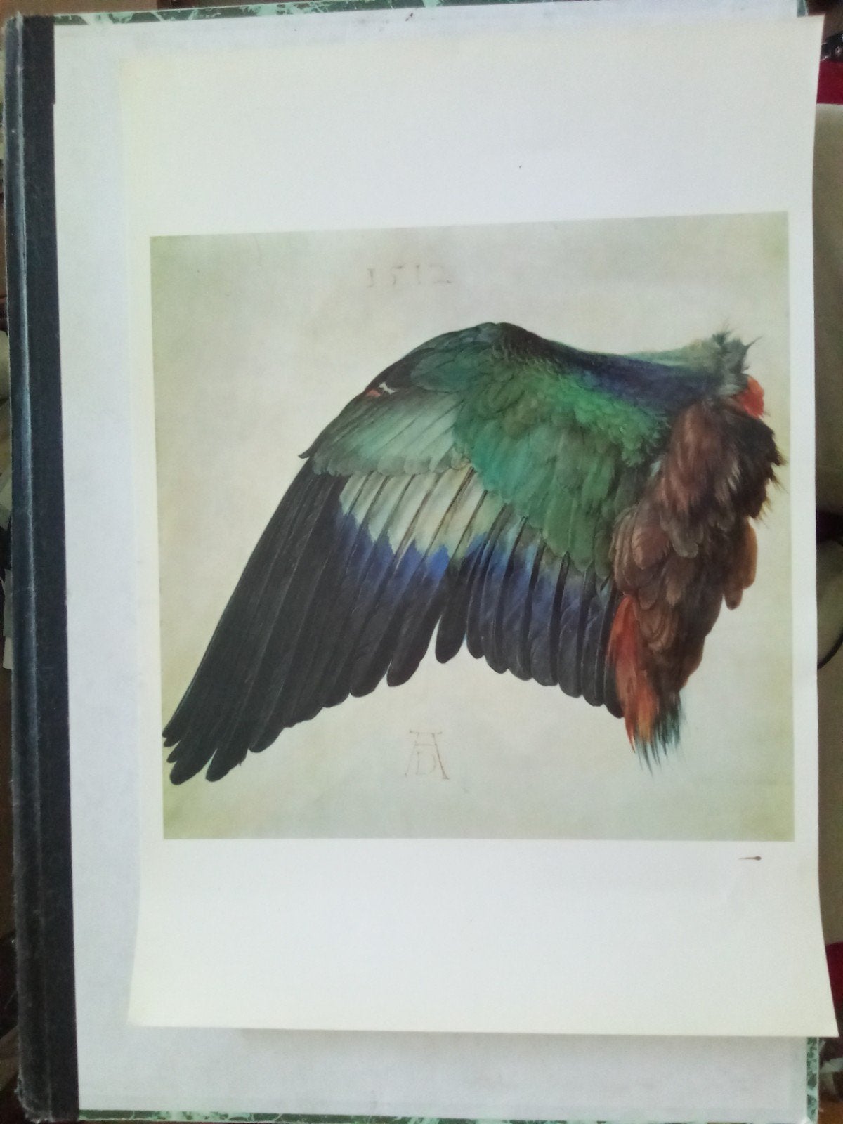 Albrecht Durer Print Vleugel, Antiek en Kunst, Ophalen of Verzenden