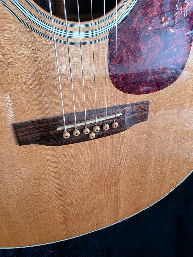 Sigma 7 string dubbele g snaar Rodger mc Guinn, Ophalen of Verzenden, Western- of Steelstringgitaar