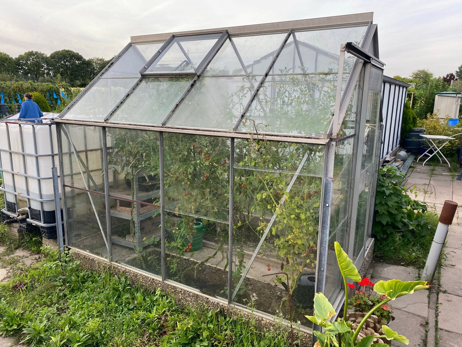 Glazen Kweekkas met Aluminium Frame, Ophalen, Gebruikt, Kweekkas, Glas