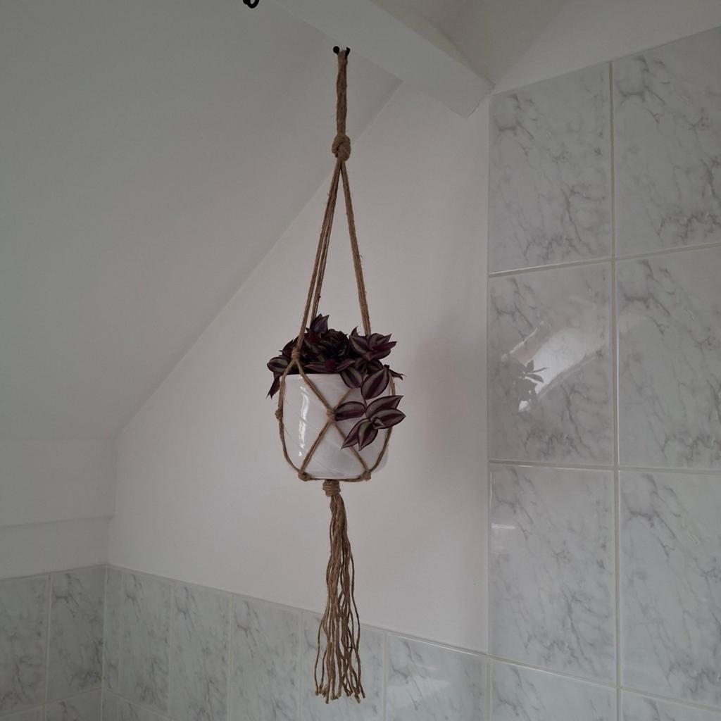 Macrame hanger met pot en hangplant, Ophalen of Verzenden, Halfschaduw, Minder dan 100 cm