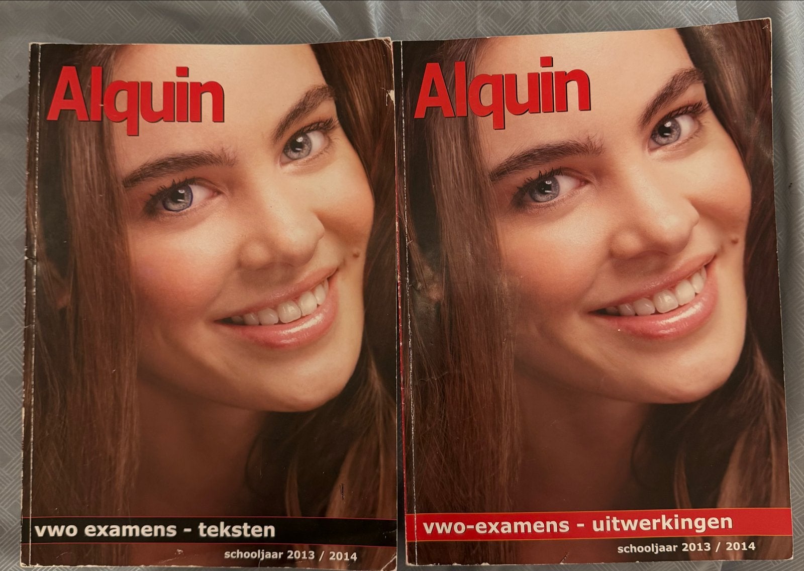 Alquin VWO Examens Teksten & Uitwerkingen 2013/2014, Boeken, Ophalen of Verzenden, Gelezen, VWO