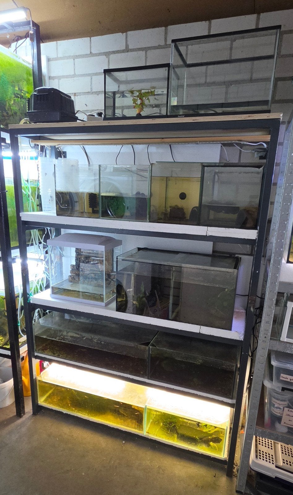 Koopje! Gratis stelling, bakken slechts 5 euro ps!, Ophalen, Gebruikt, Leeg aquarium, Overige merken