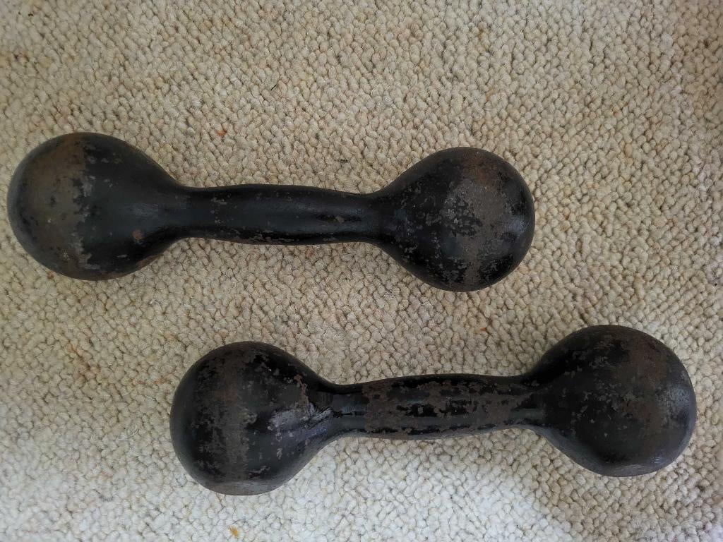 2x 3KG Halters Fitness gewichten, Ophalen, Gebruikt, Dumbbell