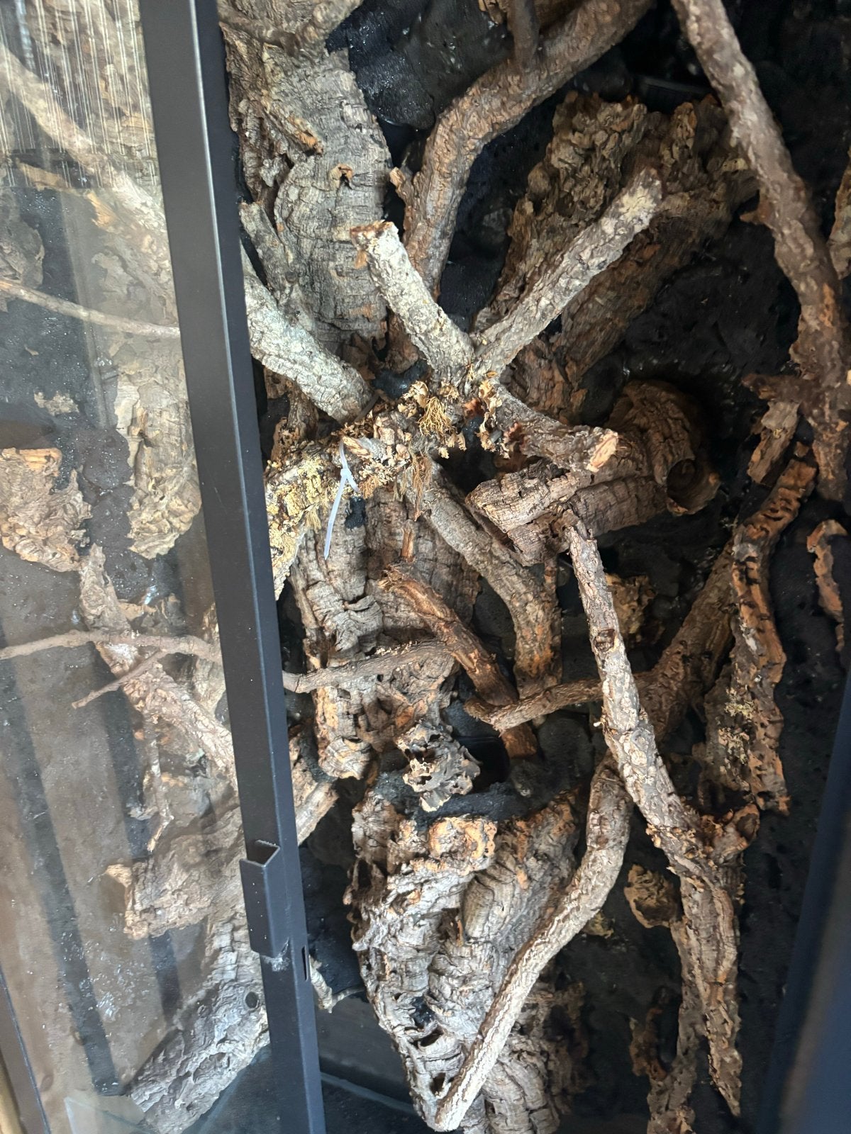 Terrarium paludarium. Groot en ingericht, Ophalen, Zo goed als nieuw, Terrarium of Paludarium