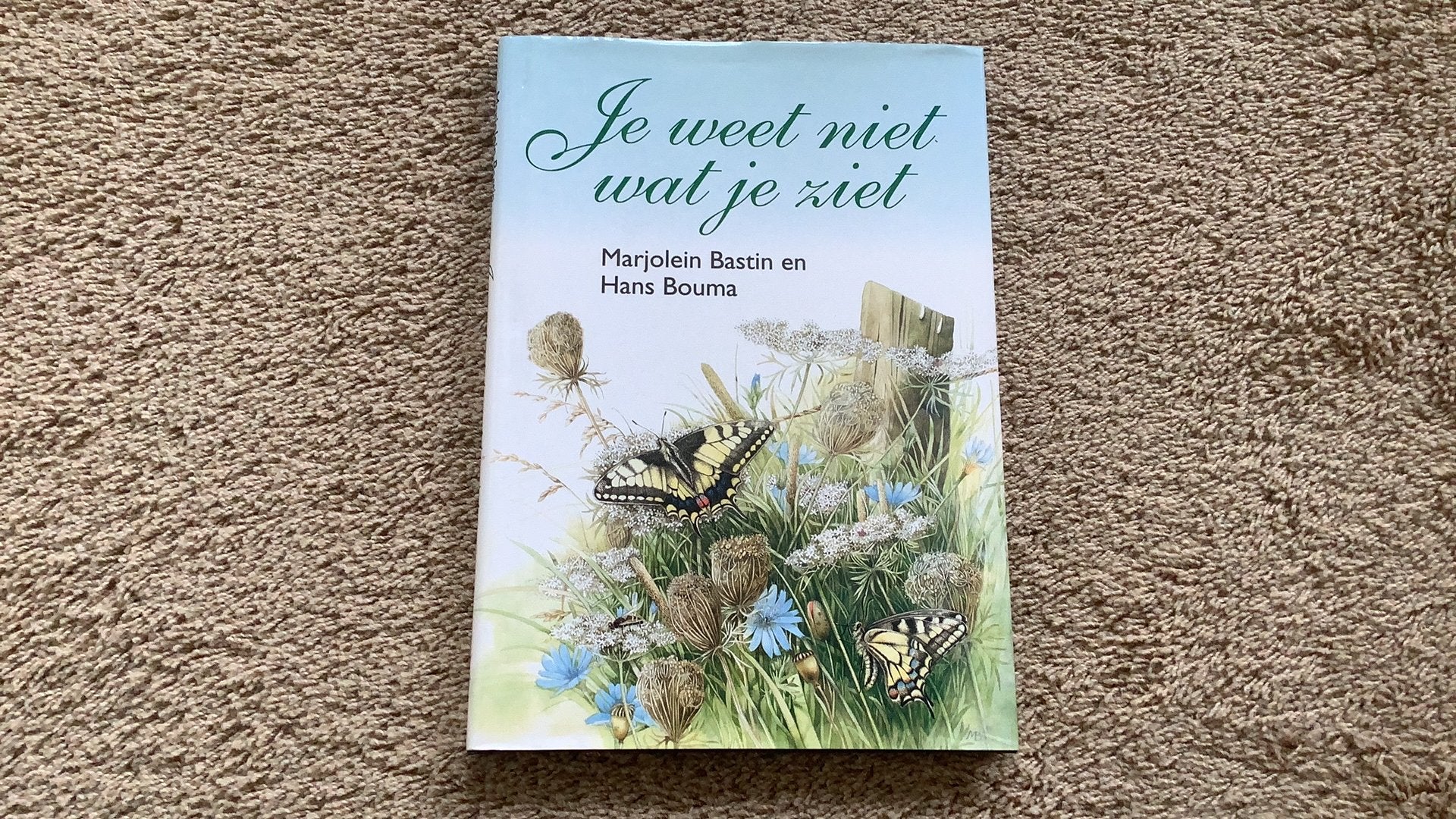 Marjolein Bastin / Hans Bouma - Je weet niet wat je ziet, Boeken, Zo goed als nieuw, Eén auteur, Hans Bouma; Marjolein Bastin