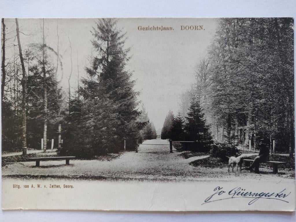 X1206 Doorn 1901, Ophalen of Verzenden, Voor 1920, Utrecht