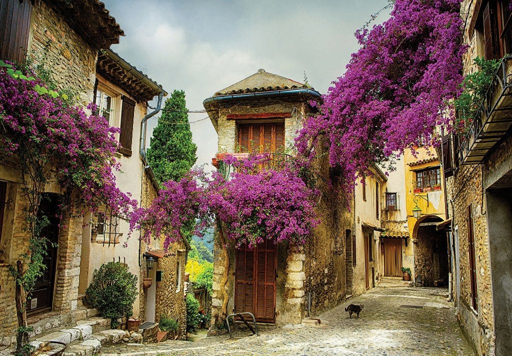 Provence fotobehang Frankrijk, Bougainville *Fotobehang4you, Verzenden, Fotobehang