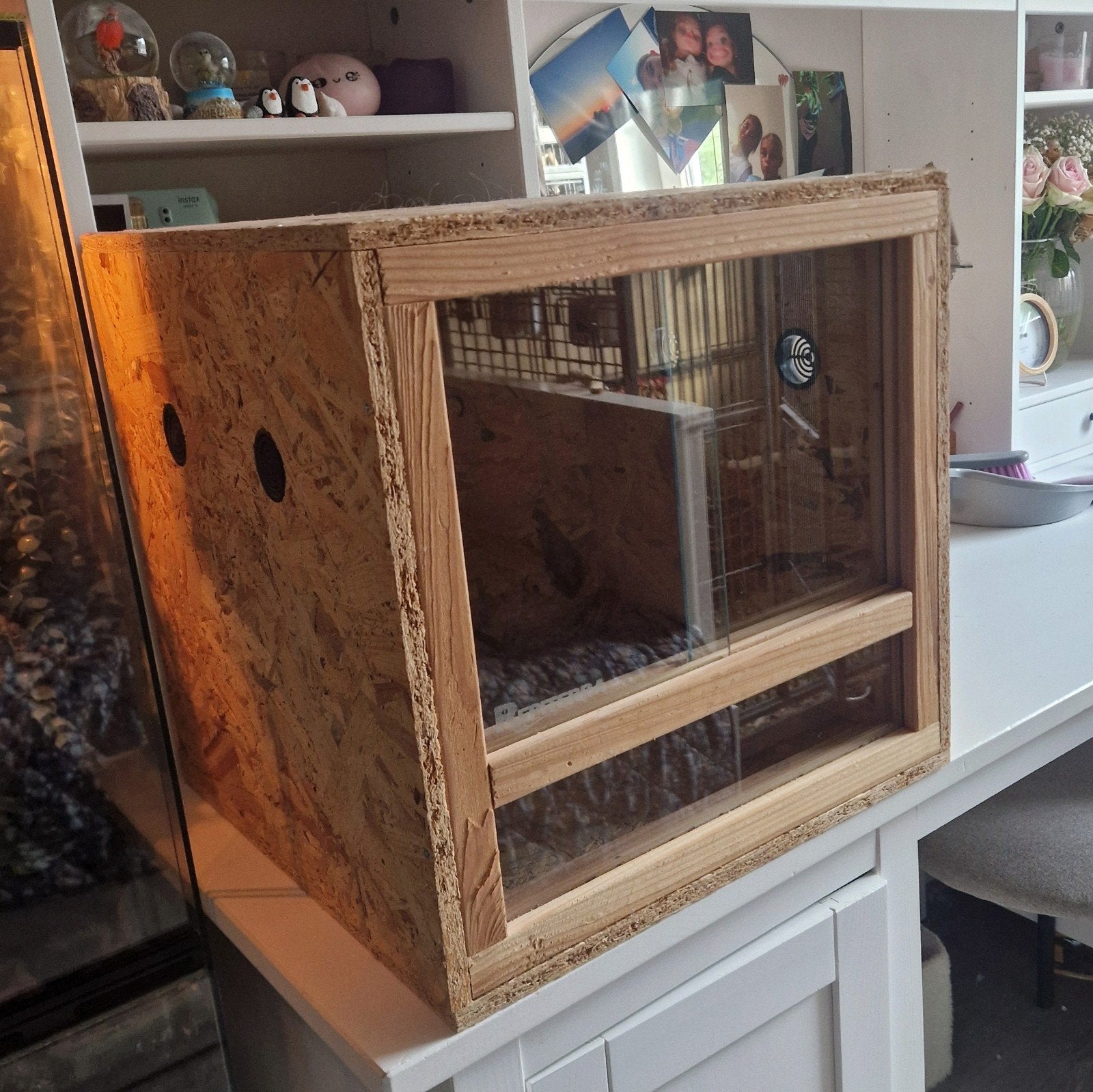 terrarium, Dieren en Toebehoren, Ophalen, Zo goed als nieuw, Terrarium of Paludarium