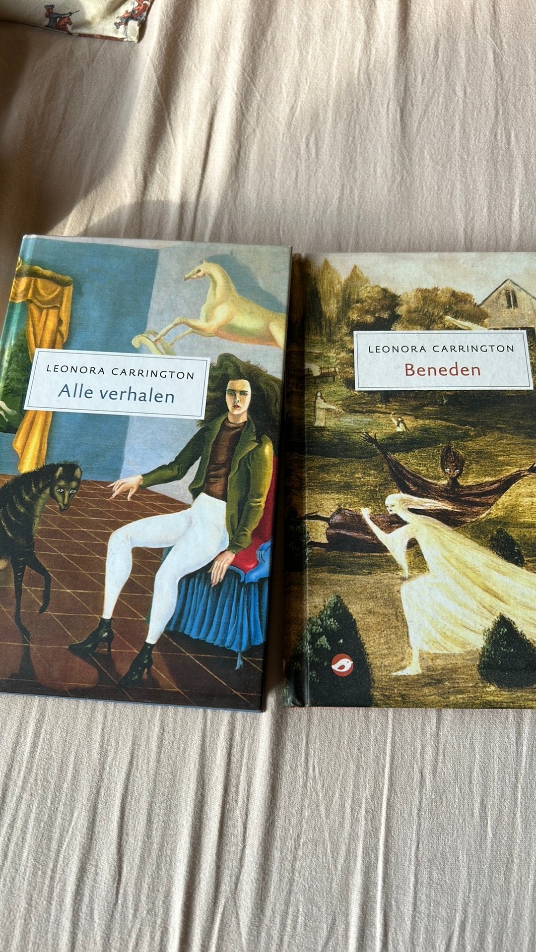 Leonora Carrington Beneden & Alle verhalen, Boeken, Ophalen of Verzenden, Zo goed als nieuw