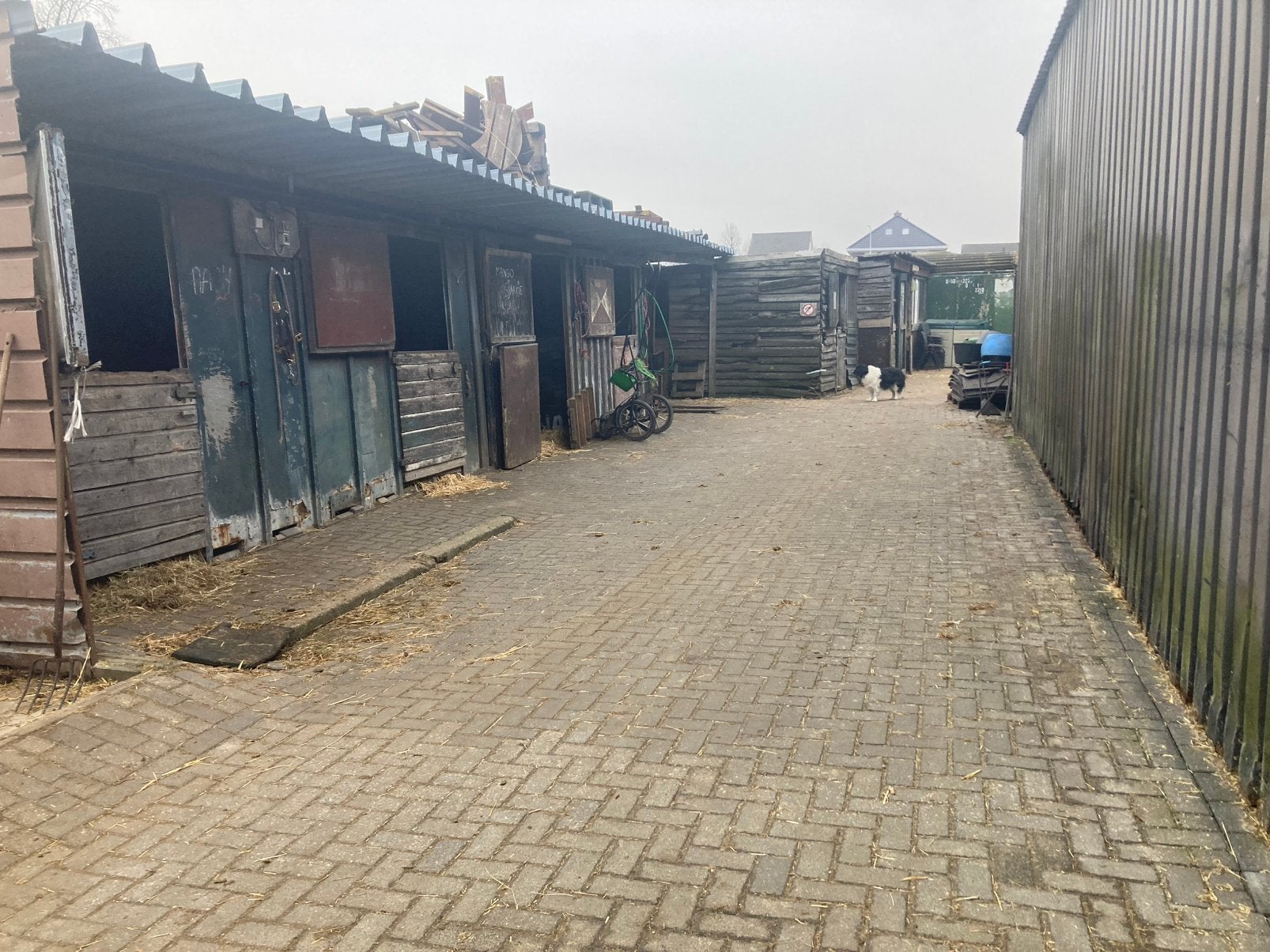 Paardenstallen te huur menwagen te koop, Weidegang, 4 paarden of pony's of meer