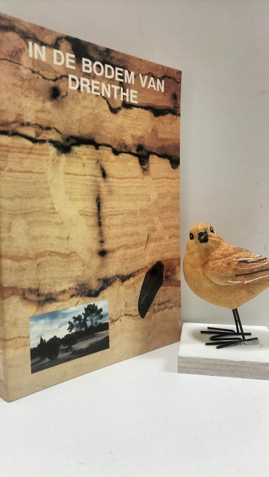 Rappol, M. e.a.; In de bodem van Drenthe, Ophalen of Verzenden, Gelezen