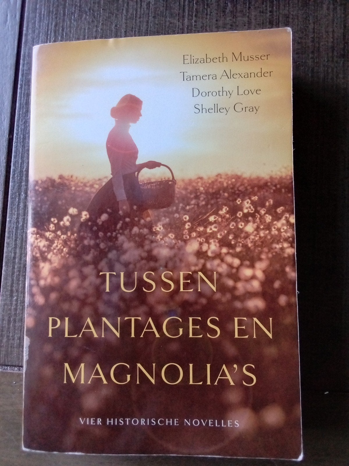 Tussen Plantages en Magnolia's - Vier Historische Novelles, Ophalen, Zo goed als nieuw, Elizabeth Musser, Tamera Alexander, Dorothy Love, Shelley Gray