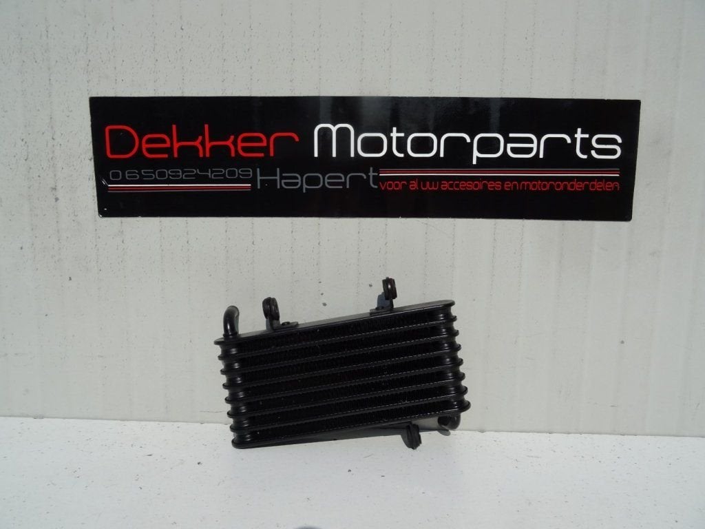 OIie Koeler / Oliekoeler Aprilia RST1000 Futura 2001-2002 >, Motoren, Gebruikt, -, -, Ophalen of Verzenden
