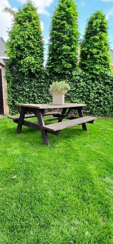 Picknicktafel, Ophalen of Verzenden, Rechthoekig, Hout