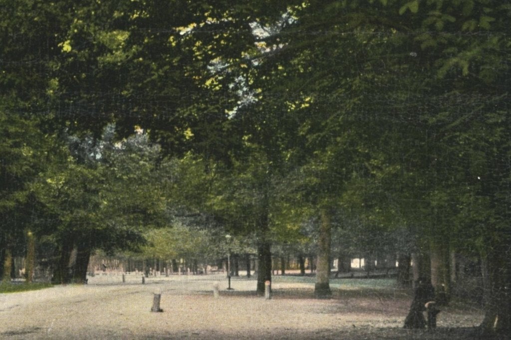 700217 Haarlem In den hout 1908 Gelopen met postzegel, Ophalen of Verzenden, Voor 1920, Gelopen, Noord-Holland