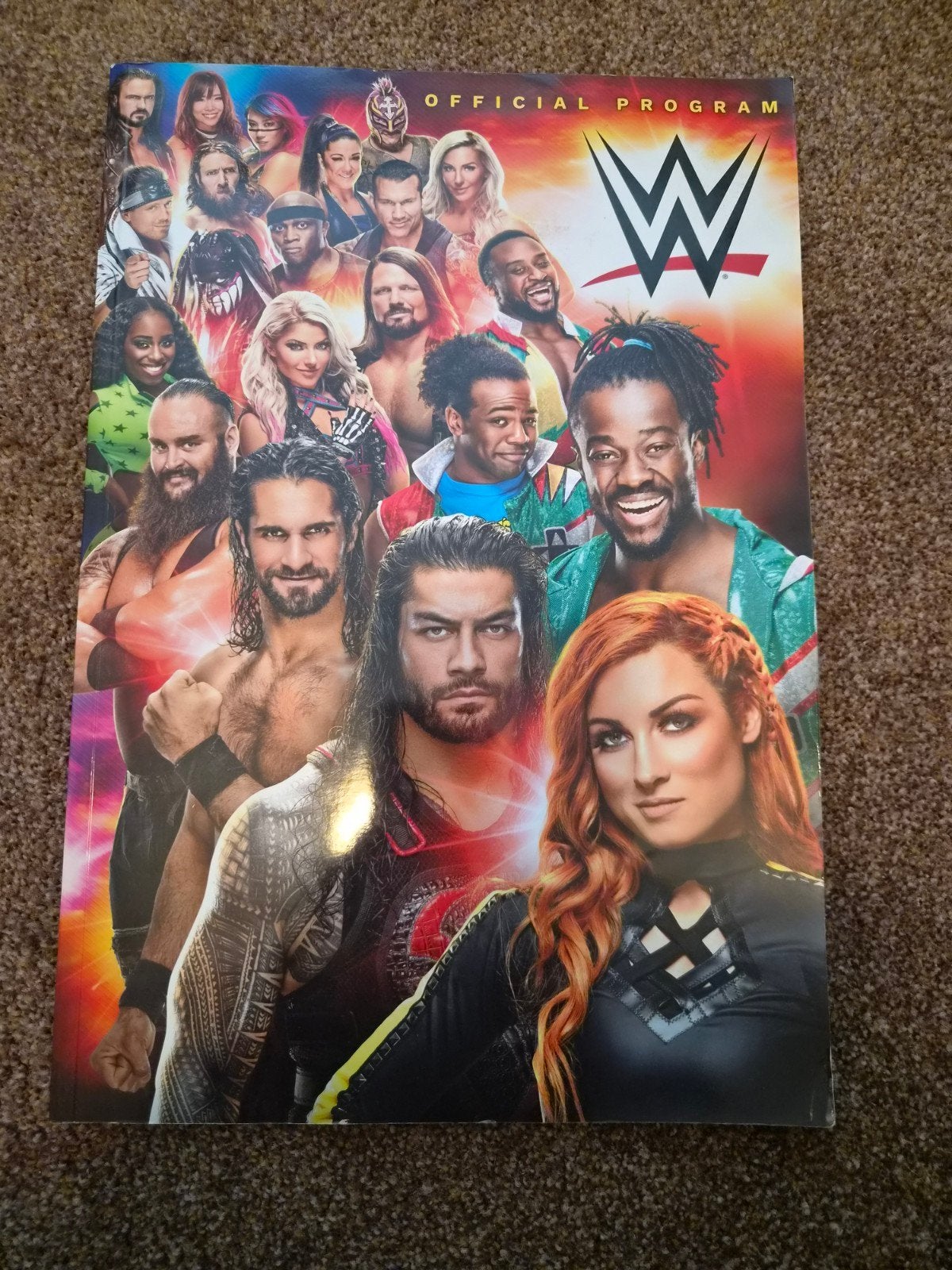 WWE Officieel Programma Boek - Zo goed als nieuw, Ophalen of Verzenden, Zo goed als nieuw, Overige typen