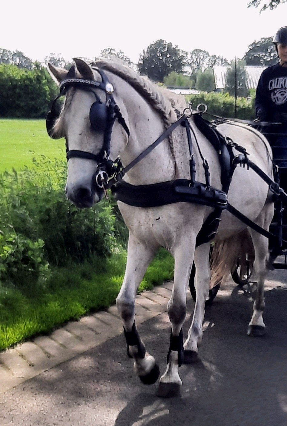 Compleetmentuig maat pony, Ophalen of Verzenden, Zo goed als nieuw