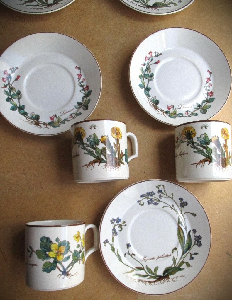 Villeroy & Boch~5 x Kop Schotels~Botanica~Tussilago, Ophalen of Verzenden, Zo goed als nieuw, Porselein, Kop en/of schotel