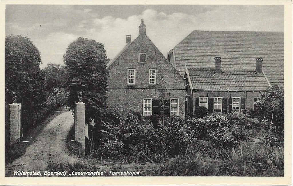 Willemstad, Boerderij Leeuwenstee Tonnenkreek. Nauta A 3653, Verzamelen, Ophalen of Verzenden, 1920 tot 1940, Ongelopen, Noord-Brabant
