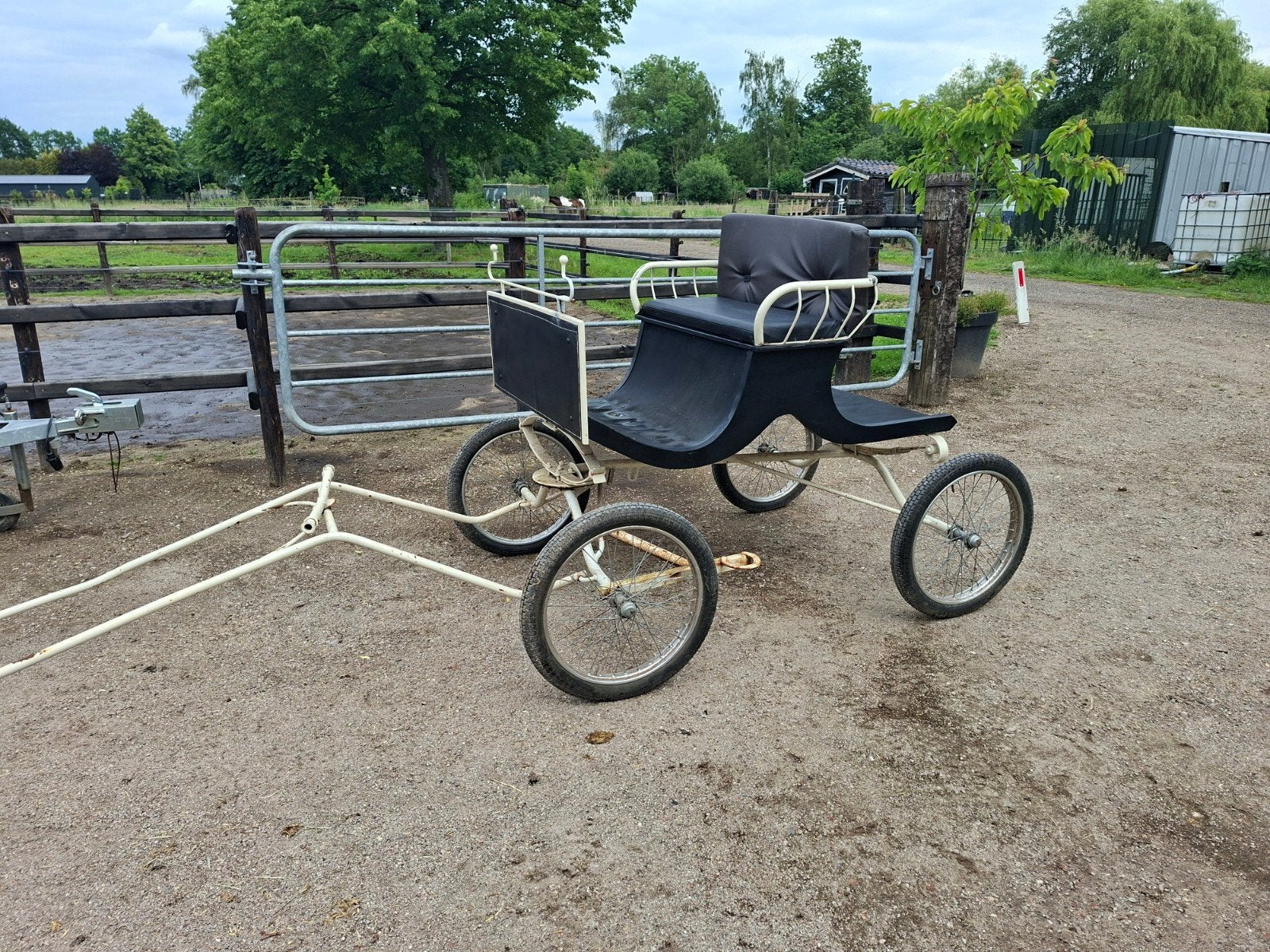 Concours wagen, Marathonwagen, Paard