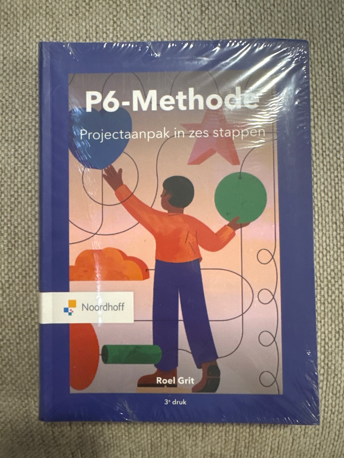 P6-Methode: Projectaanpak in zes stappen - Roel Grit, Ophalen of Verzenden, Gamma, Nieuw, HBO