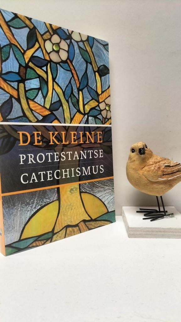 Wentsel, Dr. B.; De kleine protestantse catechismus, Ophalen of Verzenden, Gelezen, Christendom | Protestants