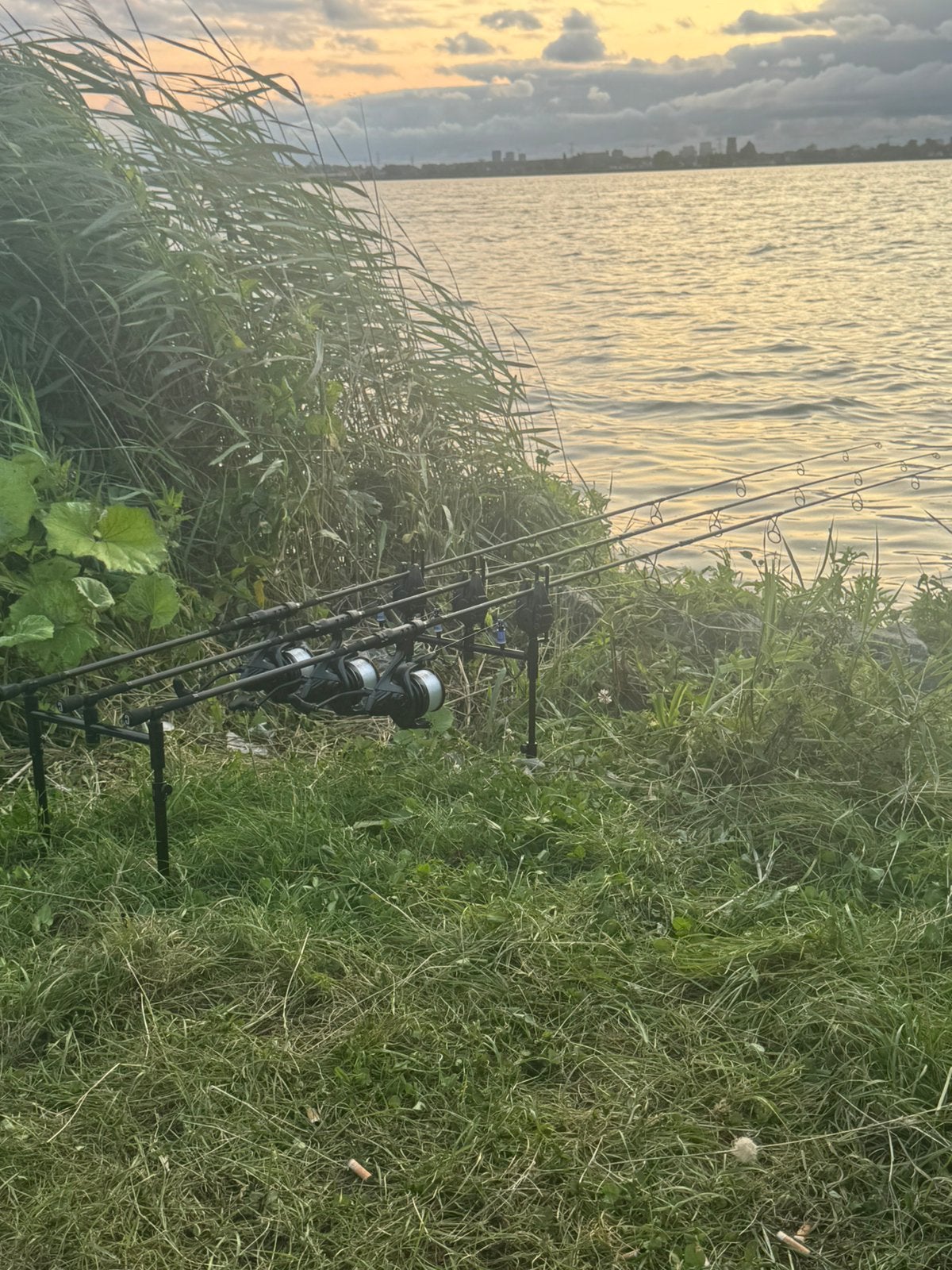 Complete karper set, Watersport en Boten, Hengelsport | Karpervissen, Ophalen of Verzenden, Zo goed als nieuw, Complete set