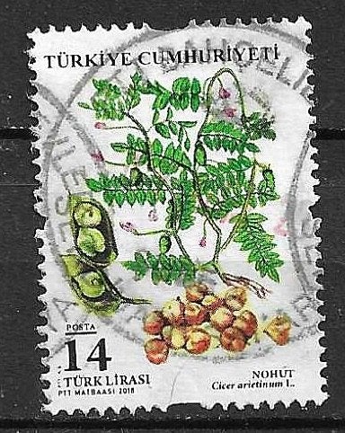 TURKIJE 2018, Ophalen of Verzenden, Overige landen, Gestempeld