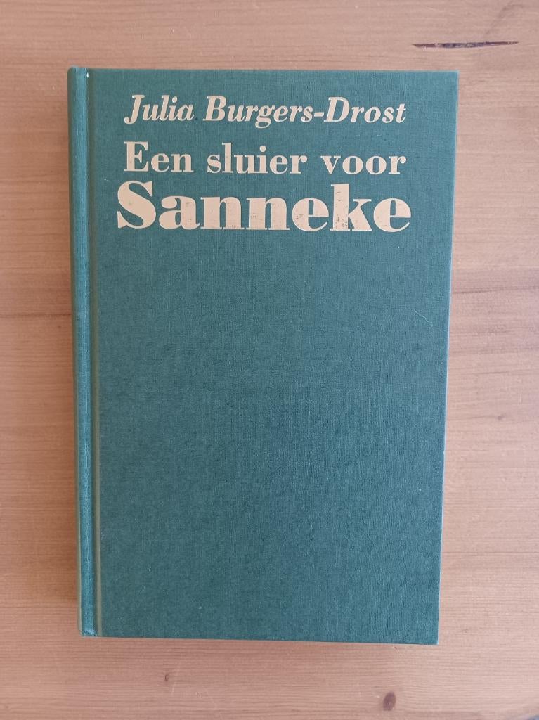 Een sluier voor Sanneke, Boeken, Romans, Gelezen, Nederland, Ophalen of Verzenden