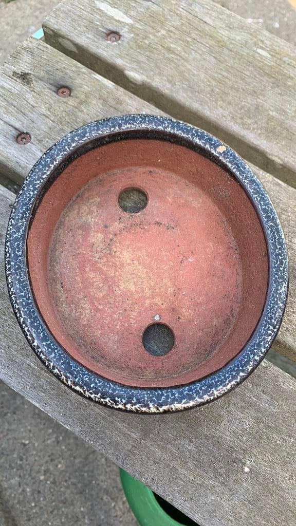 Bonsai bakje, Ophalen of Verzenden, Zo goed als nieuw, Aardewerk, Minder dan 40 cm