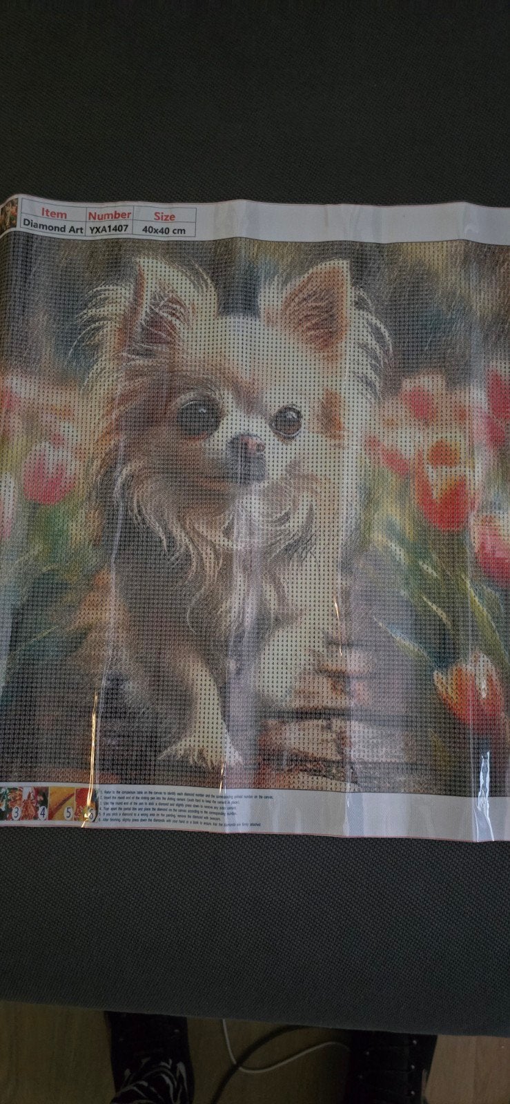 Diamond Painting Chihuahua Hond 40x40 cm, Ophalen, Nieuw