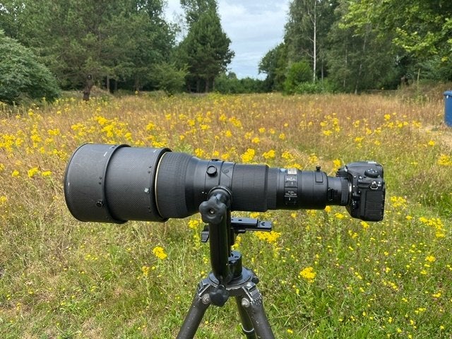 Nikon 600 mm af-s nikkor 600 mm 1:4 D2, Ophalen, Gebruikt, Nikon, Beschermhoes/tas