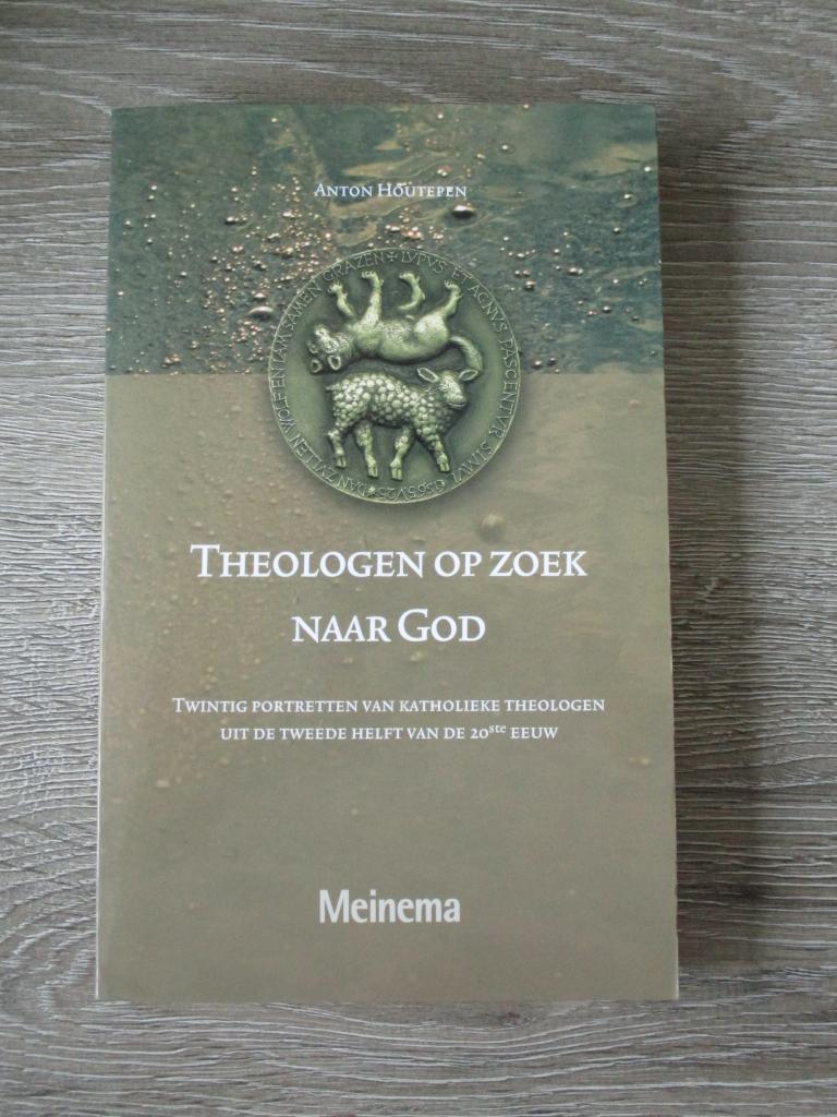 Theologen op zoek naar God; Twintig portretten van katholi, Ophalen of Verzenden, Gelezen