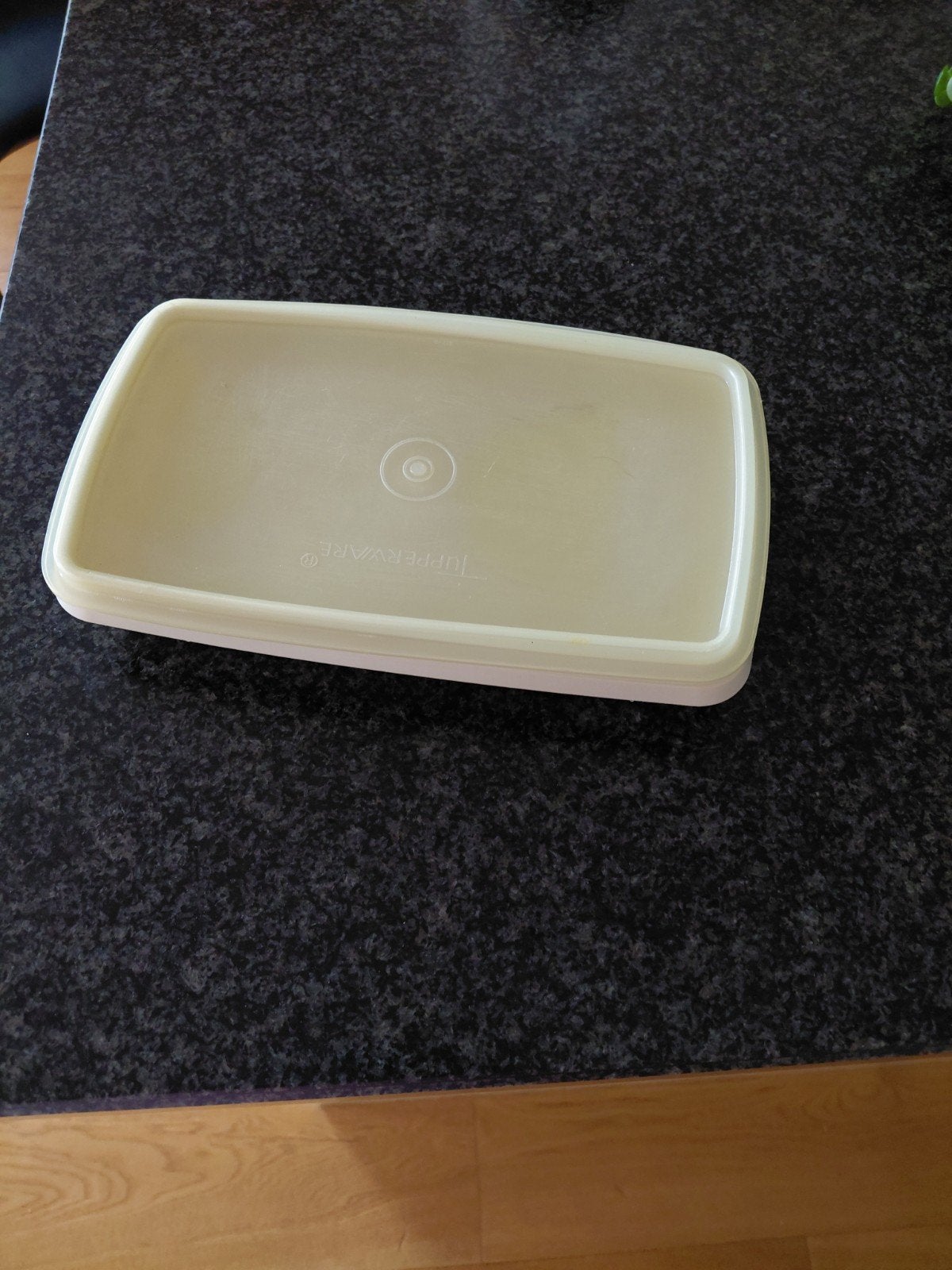 Tupperware Vleesdoos 24x24x5 cm, Huis en Inrichting, Gebruikt, Overige kleuren, Bewaardoos, Met deksel