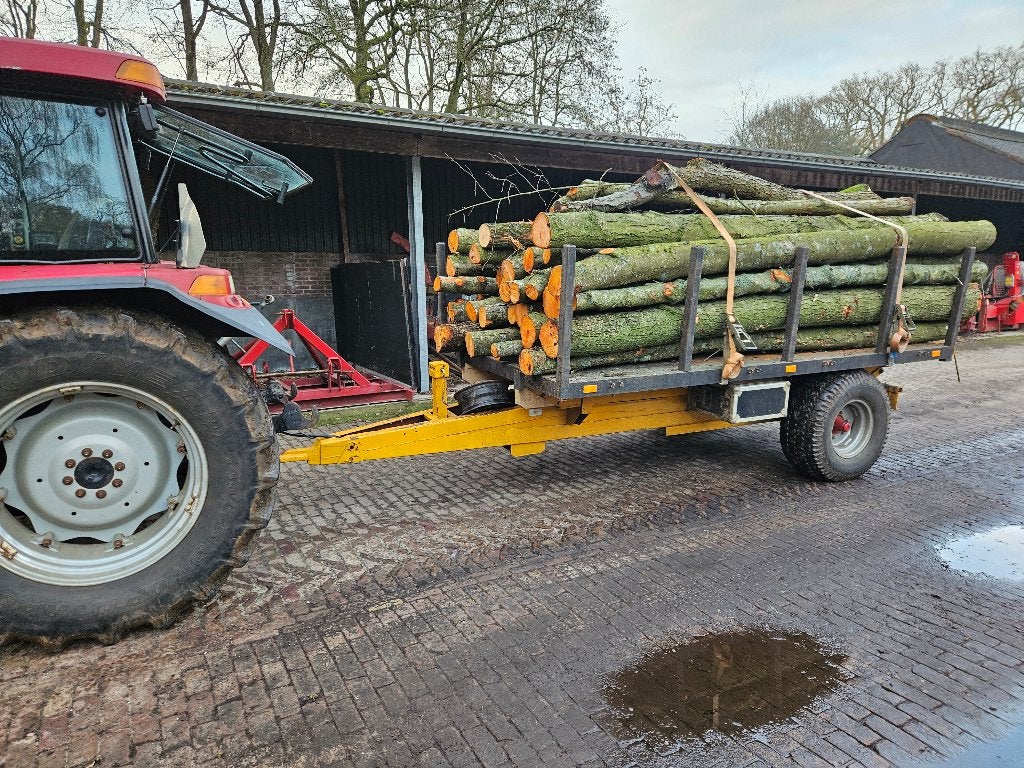 Brandhout Rondhout Elzen, Tuin en Terras, 3 tot 6 m³, Verzenden, Elzenhout, Stammen