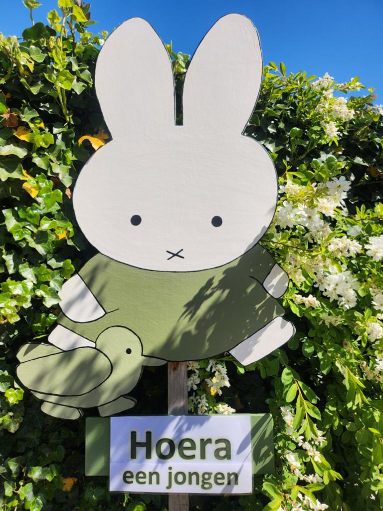 Nijntje of ander leuk geboortebord huren, Kinderen en Baby's, Kraamcadeaus en Geboorteborden, Ophalen, Nieuw, Geboortebord