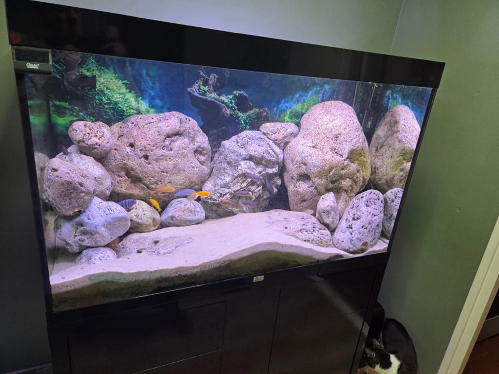 atlantis sublime 120x60x70, Ophalen, Gebruikt, Aquatlantis, Gevuld zoetwateraquarium