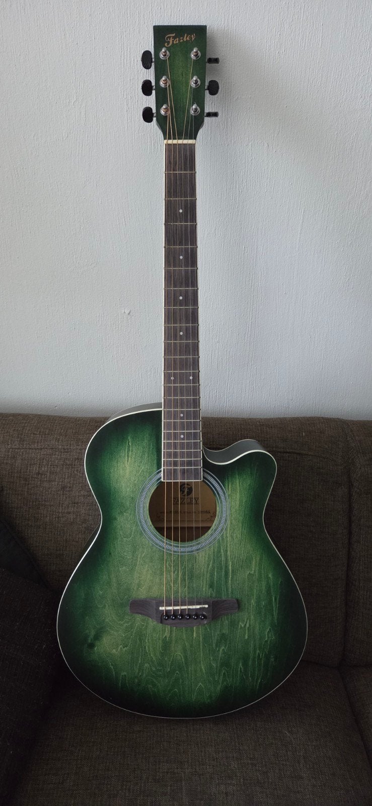 Fazley akoestische gitaar – groen – mooie uitvoering, Ophalen, Western- of Steelstringgitaar