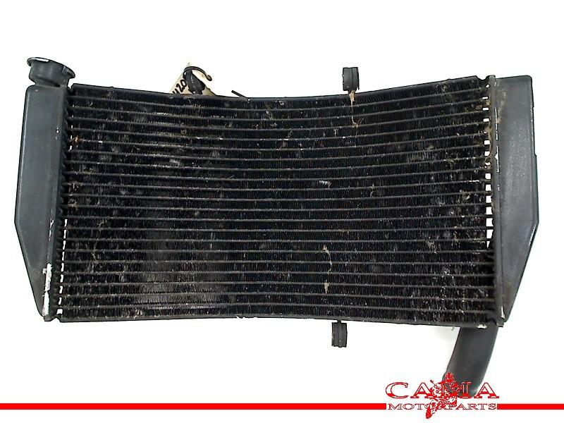 Radiateur CBR 954 RR Fireblade 2002-2003 (CBR900RR SC50), Honda, Gebruikt, Hanauer Landstraße  222-224, Frankfurt am Main 60314, , Duitsland