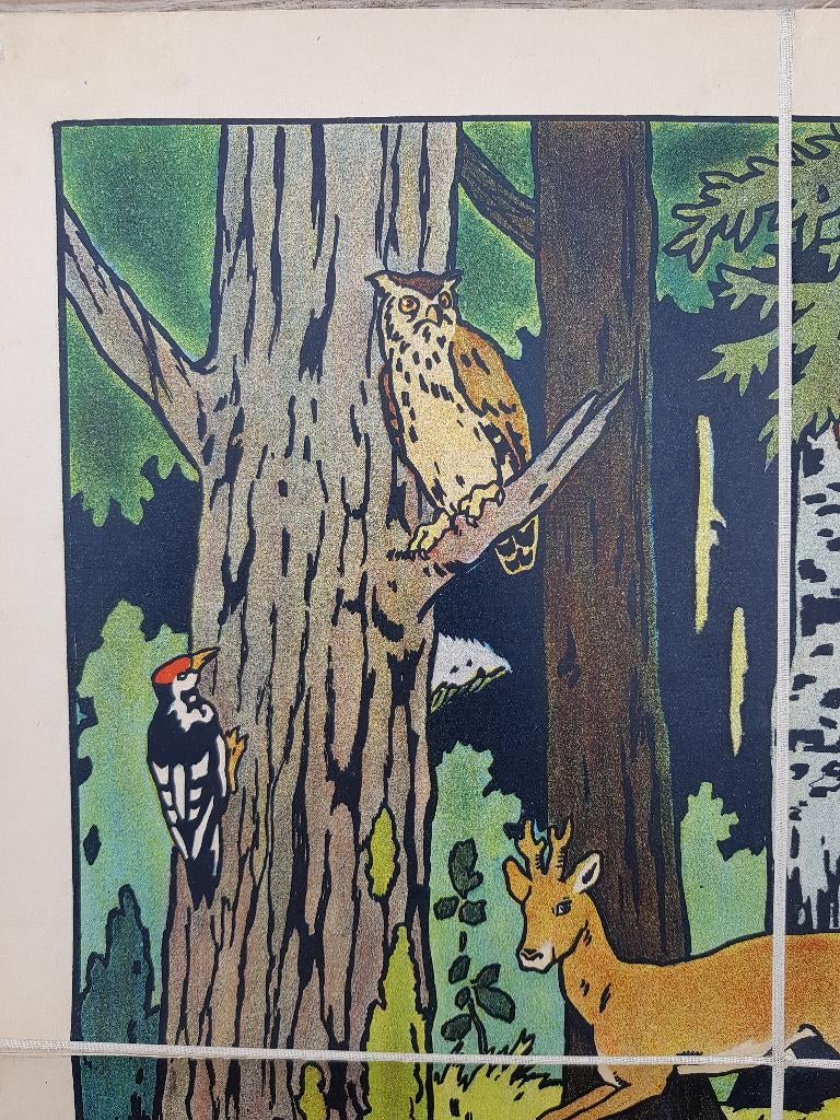 In het bos oude schoolplaat uit Frankrijk litho op canvas., Ophalen of Verzenden