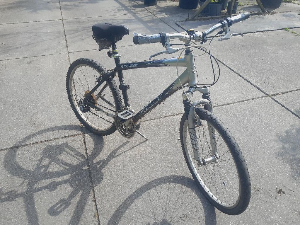 mountainbike 2, Ophalen, Gebruikt, Heren, Giant
