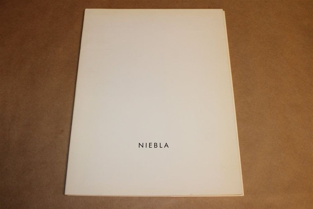 Niebla — Recente Schilderijen [1989], Ophalen of Verzenden, Gelezen