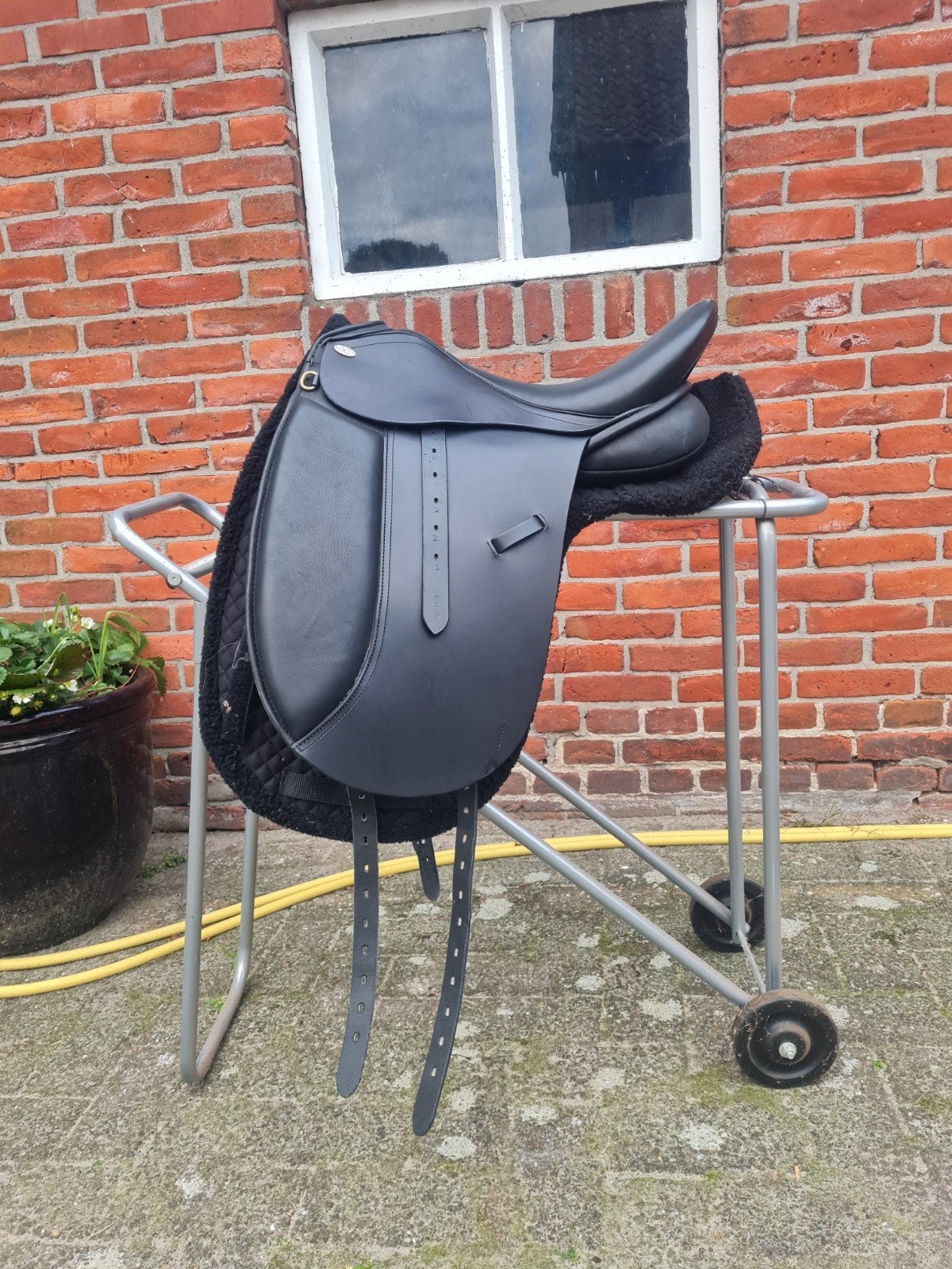 Nieuw Jorge Canaves dressuurzadel voor een heel kort paard, Dieren en Toebehoren, Dressuur, Wijd, M (17 inch), Nieuw