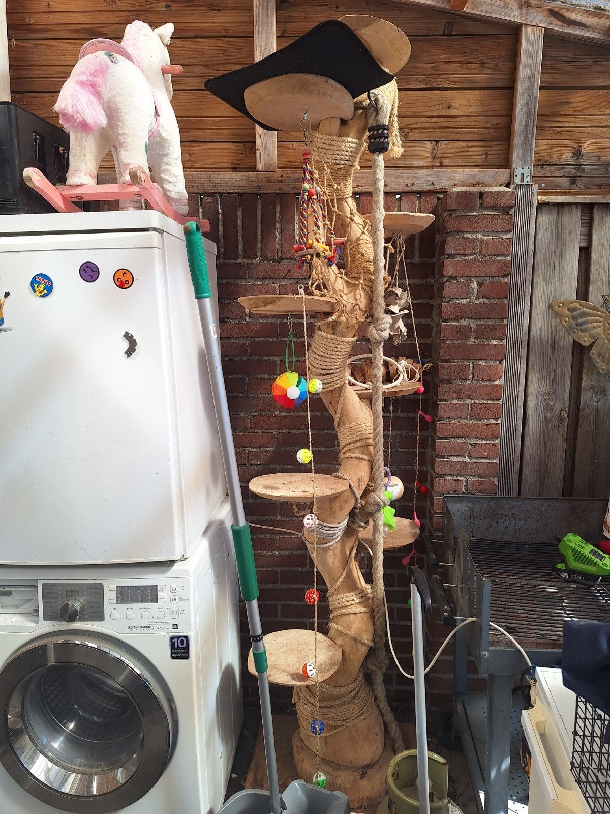 tekoop grote javaboom met speeltjes, Mannelijk, Parkiet