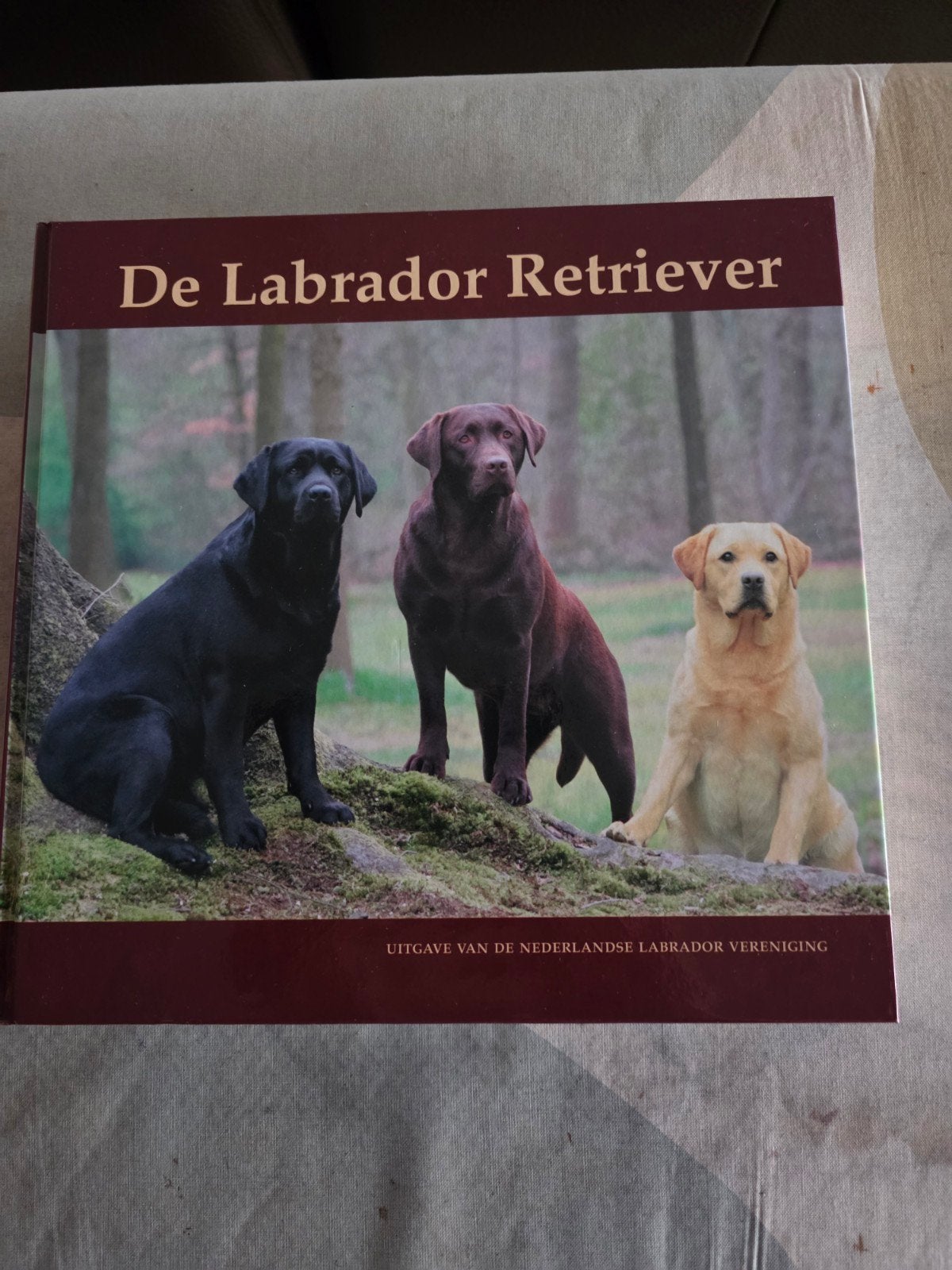 De Labrador Retriever, Boeken, Dieren en Huisdieren, Zo goed als nieuw, Ophalen of Verzenden
