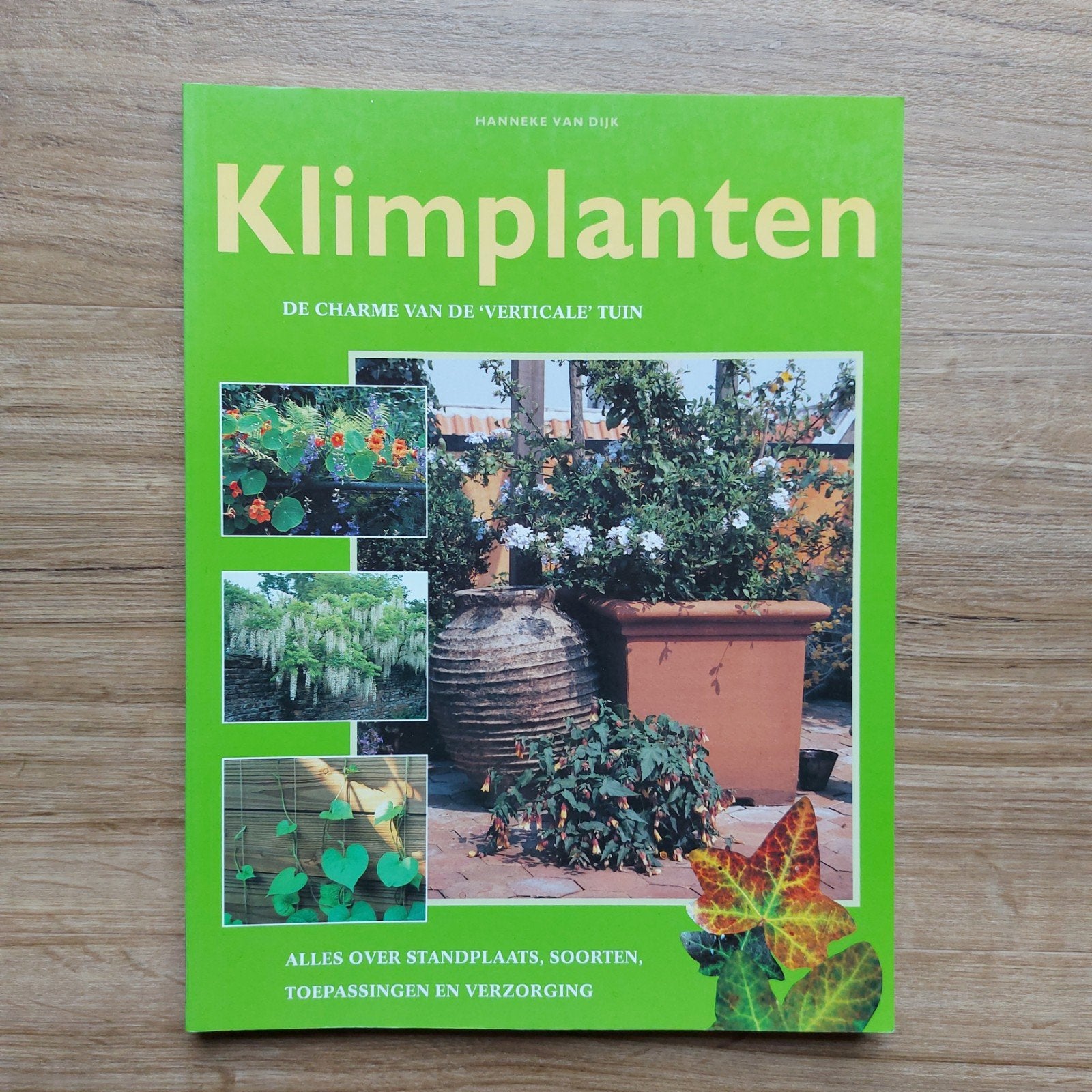 tuinboek: Klimplanten - Hanneke van Dijk, 144blz, Hanneke van Dijk, Ophalen of Verzenden, Zo goed als nieuw, Tuinieren en Tuinplanten