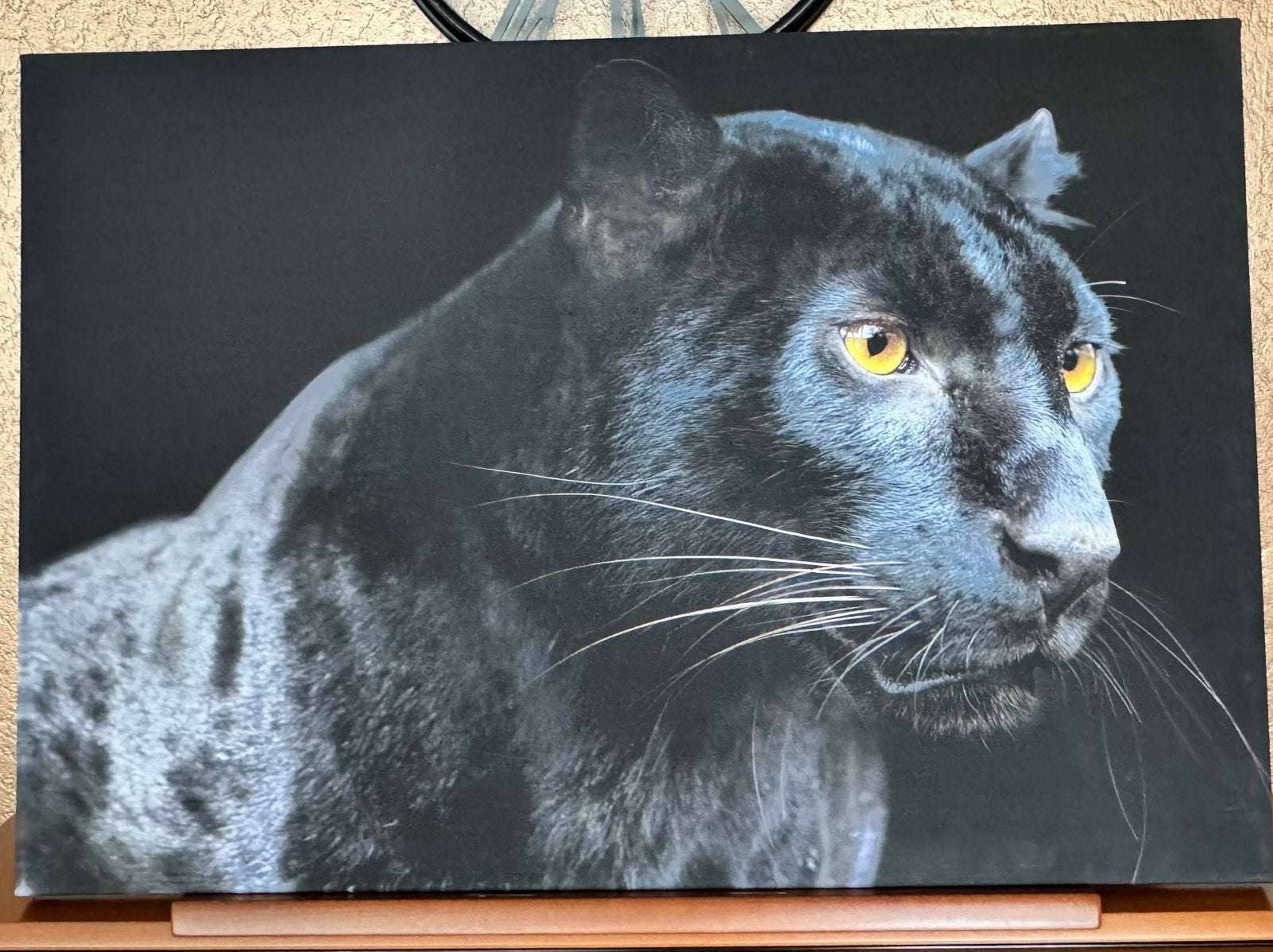 Prachtige print op canvas, Ophalen, 100 tot 125 cm, 75 – 100, Print